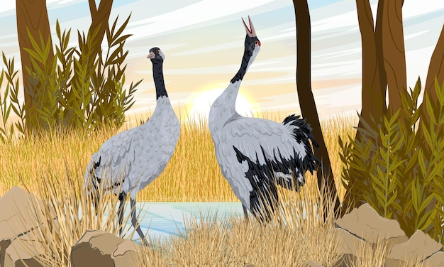 Een kudde grijze kraanvogels op een herfstveld aan de oever van de rivier Realistisch vectorlandschap