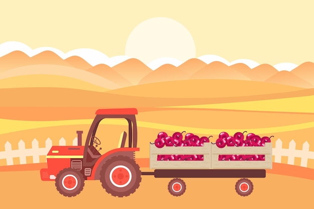 Een landbouwtractor met een aanhanger en dozen fruit tegen de achtergrond van velden en zonsondergang