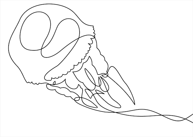 Een lijn kwallen illustratieachtergrond doorlopende lijntekening