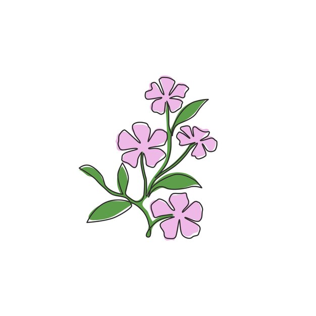 Eén lijn tekening catharanthus tuin logo periwinkle bloemen muur decor kunst ontwerp vector
