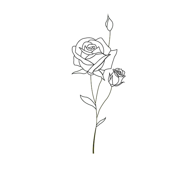 Eén lijn tekening Tuinroos met bladeren met de hand getekende schets Set bloemen Vector illustratie