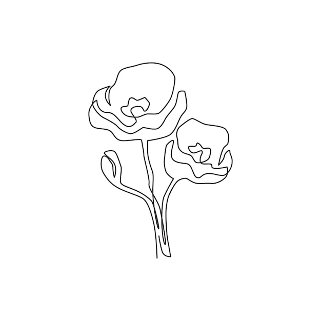 Eén lijn tekening van schoonheid kruidachtige plant voor muur kunst poster papaver bloem ontwerp vector