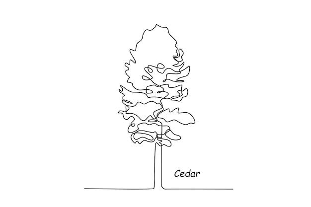 Eén lijntekening ceder Tree concept Continu lijntekening ontwerp grafische vectorillustratie