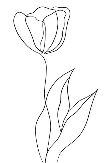 Vector een lijntekening van een bloem