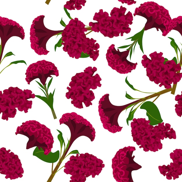 Een naadloos patroon van Cockscomb bloem vectorillustratie