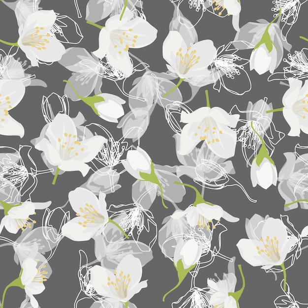 Een naadloos patroon van jasmijnbloemen vector illustratie