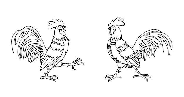 Een paar gevechtshanen boerderijvogels vectorillustratie met zwarte inktcontourlijnen