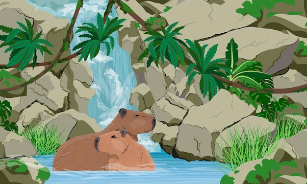 Een paar grote capibara's zitten in het water bij een grote tropische waterval