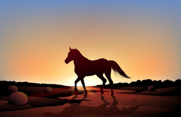 Een paard in een zonsondergang in de woestijn
