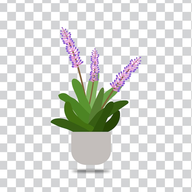 Een plant met een bloempot op een geblokte achtergrond