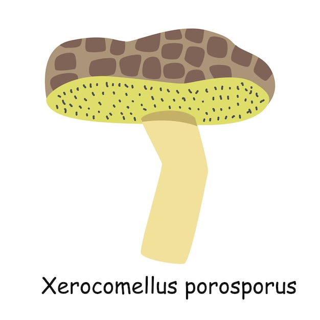 Vector een platte vector van een eetbare paddenstoel geïsoleerd op een witte achtergrond