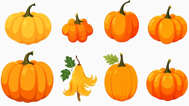 Vector een pompoen met een blad erop en een pompoen erop.