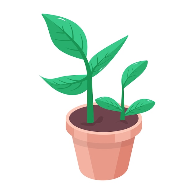 Een potplant met een blad erin