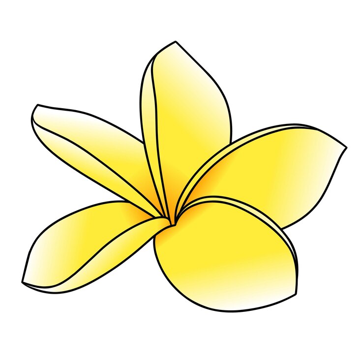 Vector een prachtige gele frangipani bloem