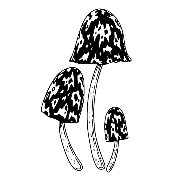 Een reeks paddestoelen lineaire inktillustratie