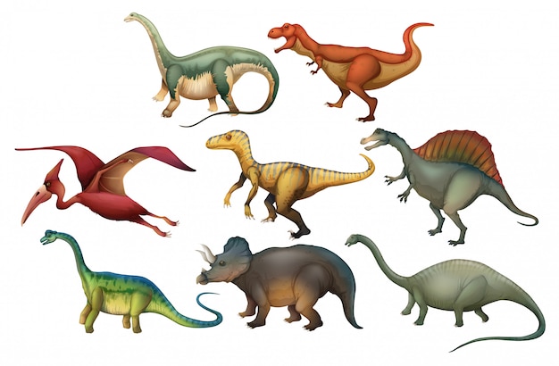 Vector een reeks verschillende dinosaurussen