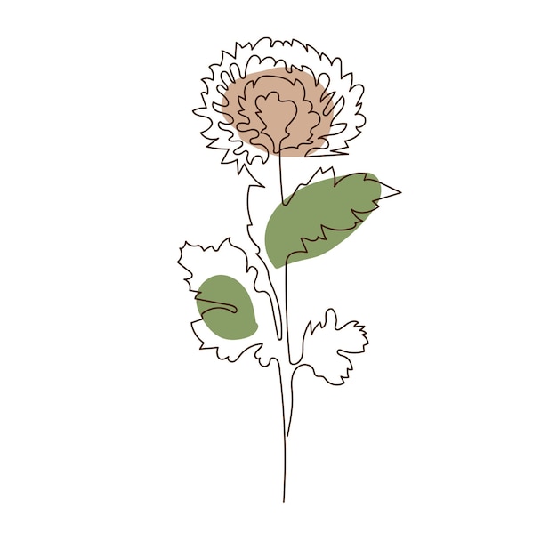 Een regel bloem van chrysant Minimalistische continue lineaire vectorillustratie moderne kunst aan de muur