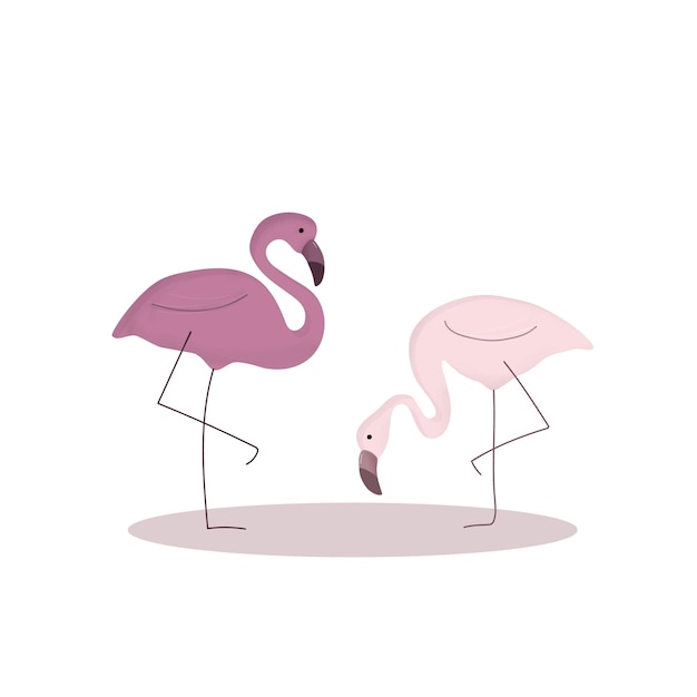 Een roze flamingo staat naast een roze flamingo.