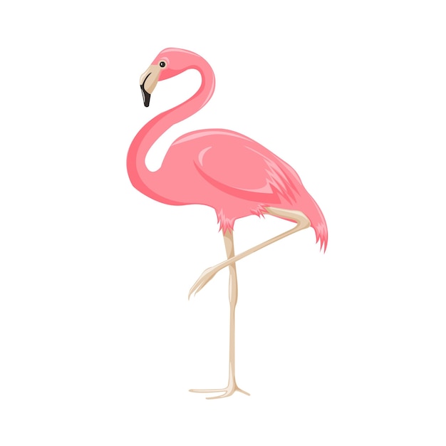 Een roze flamingo staat op zijn achterpoten.