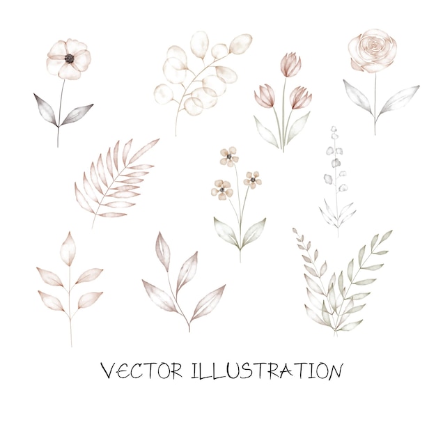 Vector een set bloemen en bladeren voor een design aardetint