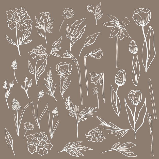 Een set bloemen van hand tekenen. Tulpen, pioenen, mimosa, narcissen en anderen. Leuk voor ansichtkaarten