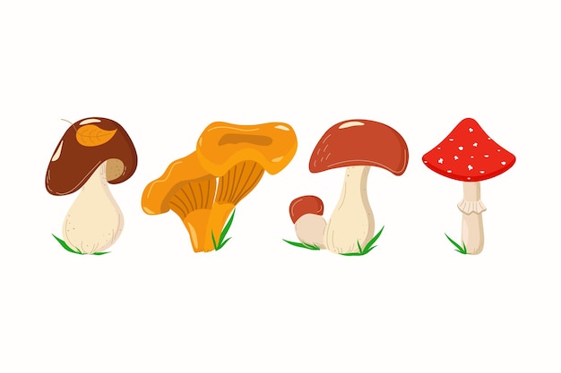 Een set eetbare en giftige paddenstoelen