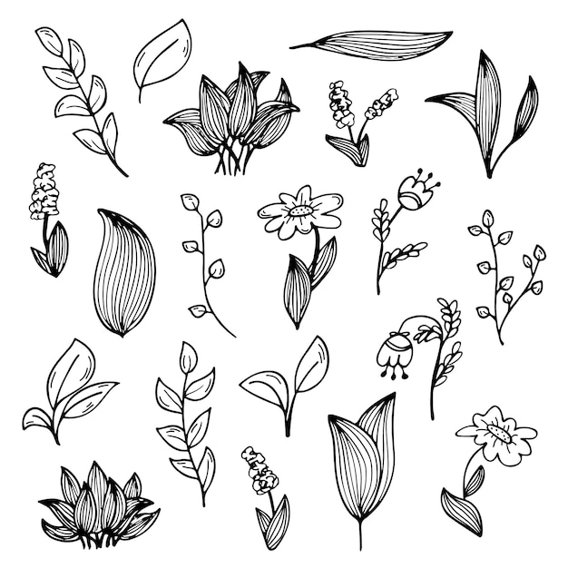 Een set handgetekende doodles van bloemen en planten