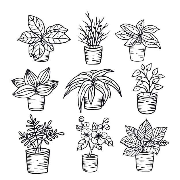 Een set huisplanten in potten negen verschillende planten in lijnstijl Premium Vector