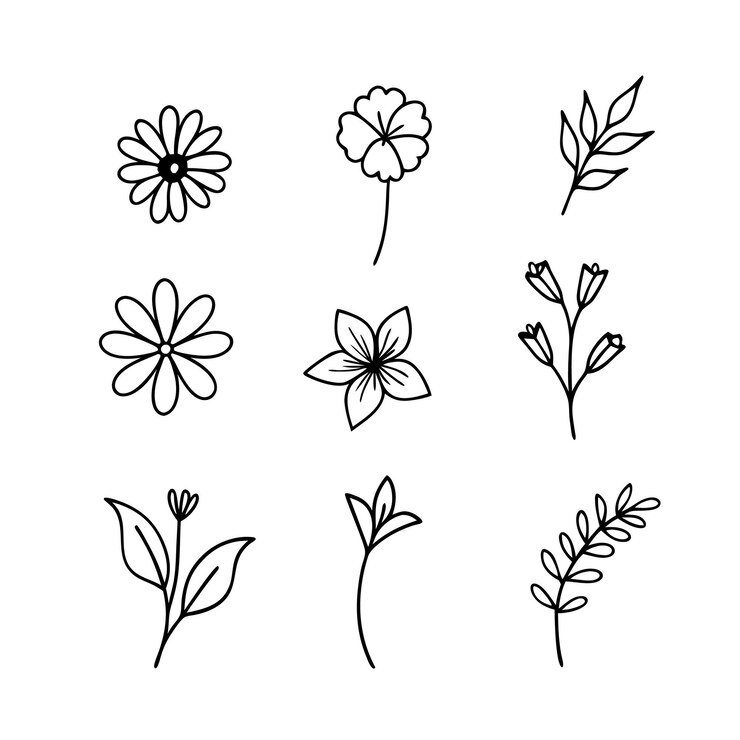 Vector een set met de hand getekende bloemenblad tak contour vector kunst