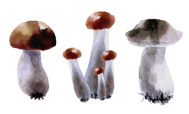 Een set paddestoelen handgetekende aquarel tekenen