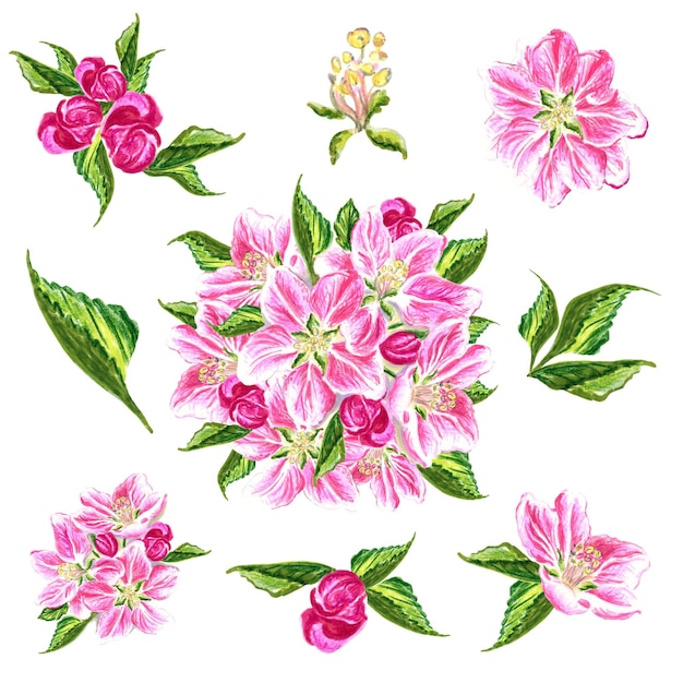 Vector een set roze bloemen met bladeren en bloemen