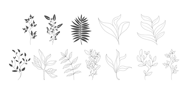 Een set sjablonen voor plantcontouren en silhouetten voor toepassingen voor scrapbooking, creatief en thematisch ontwerp Vlakke stijl