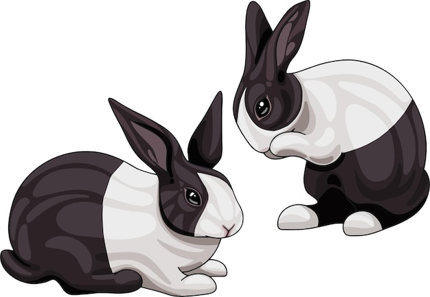 Een set tekenfilm getekende dieren. Nederlandse konijnenras