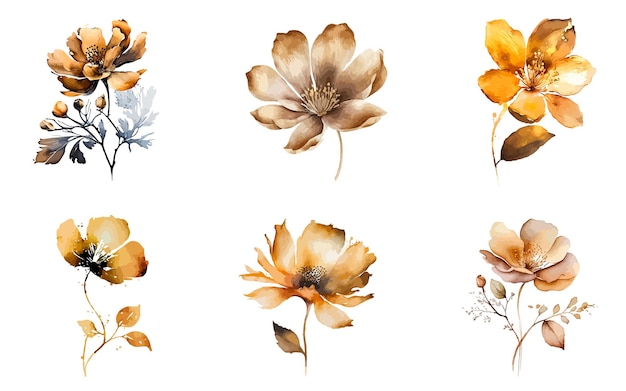 Een set van gouden aquarel bloemen op een witte achtergrond