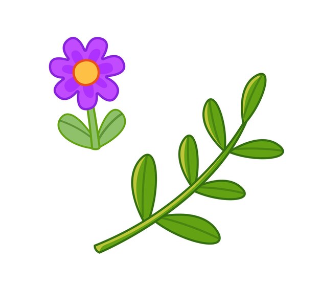 Een set van heldere bloemen een roze kamille en een groene plant tak vector illustratie