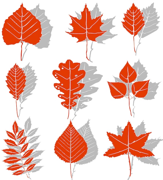 Vector een set van oranje herfstbladeren geïsoleerd op een witte achtergrond met grijze schaduwen. verschillende soorten herfstbladeren, gemaakt in dezelfde stijl. eenvoudige vlakke stijl, vectorillustratie.