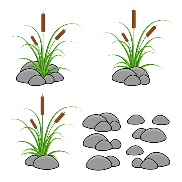 Een set van riet in gras en stenen geïsoleerd op een witte achtergrond