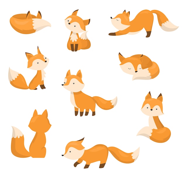 Een set van schattige cartoon vossen in verschillende acties. illustratie in platte cartoon stijl.