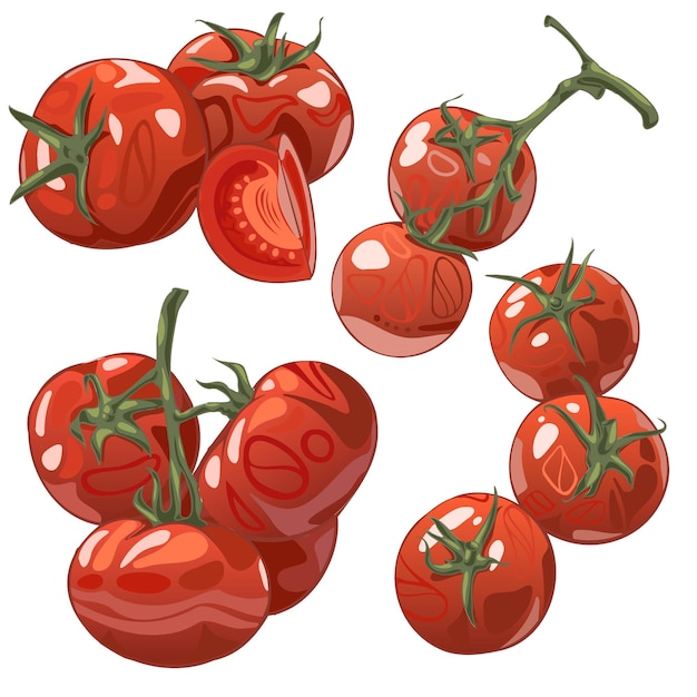 Een set van tomaten op takken Vector Illustratie