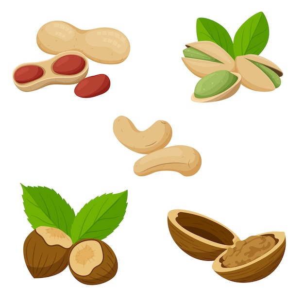 Een set van verschillende noten. Cashewnoten, pinda's, pistachenoten, hazelnoten, walnoten in de dop. Gezond eten