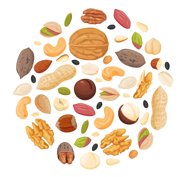 Een set van verschillende noten en zaden Gezonde en biologische voeding Vectorillustratie