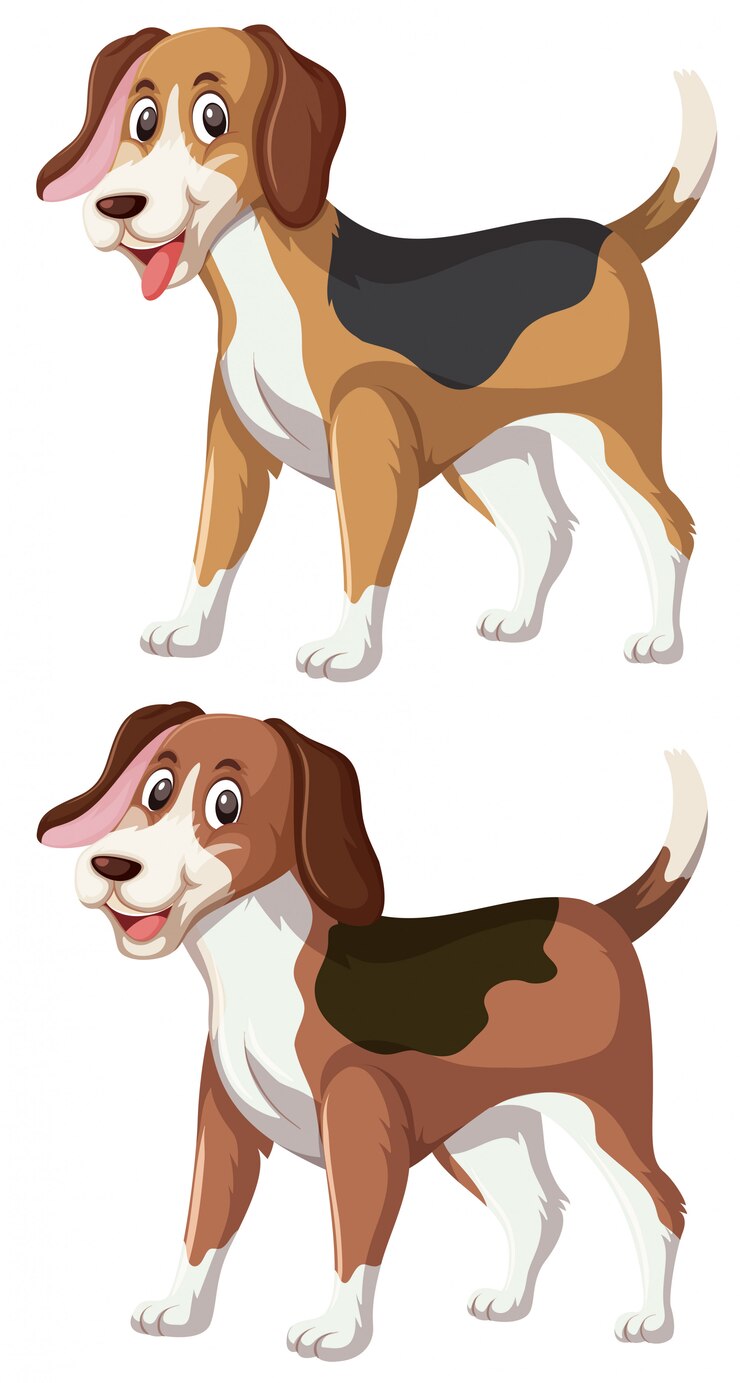 Vector een set van vrolijke beagle
