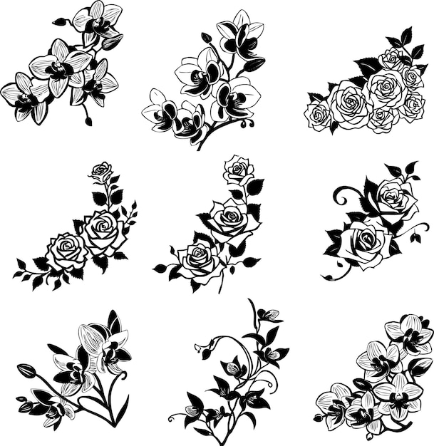 Een set van zwart-witte rozen met bladeren en bloemen.