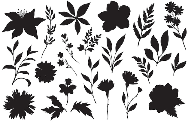 Een set van zwarte botanische silhouetten verschillende bloemen bladeren