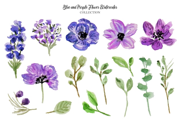 Een set violette en paarse bloemenaquarel