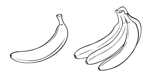 Een set zwart-wit foto's Een tros rijpe bananen odon banaan vector