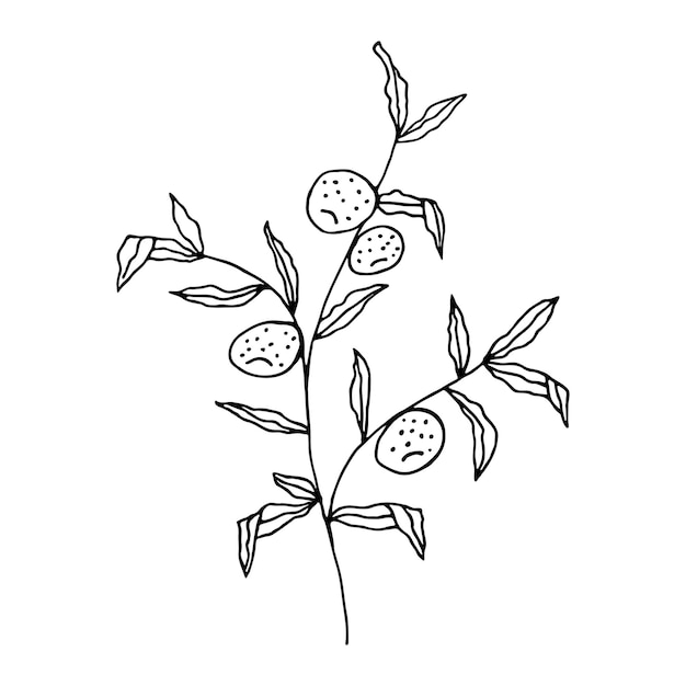 Een sinaasappelboom met de hand getekend in doodle-stijl zwarte omtrek van een sinaasappelboom op een witte achtergrond