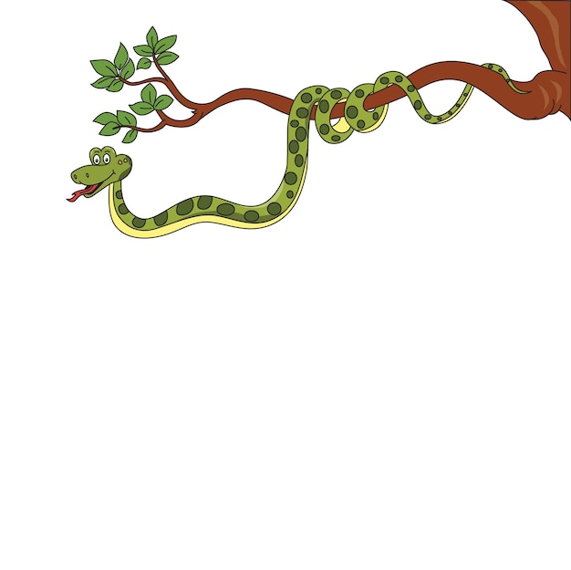 Een slang op een boomtak met een witte achtergrond.