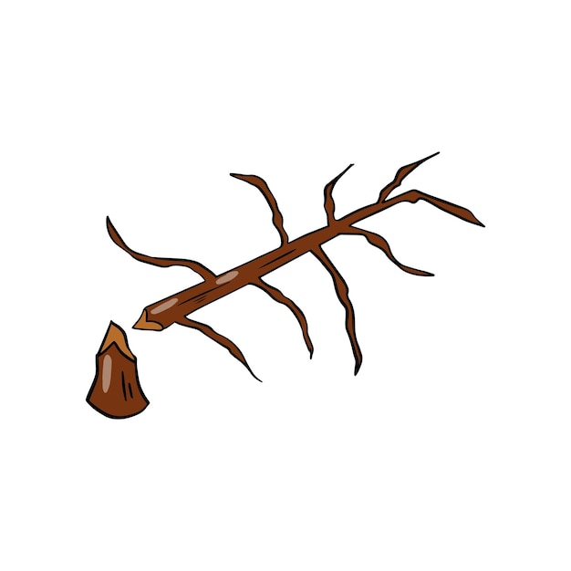 een stuk hout met een stuk boomtak dat een zaadje heeft