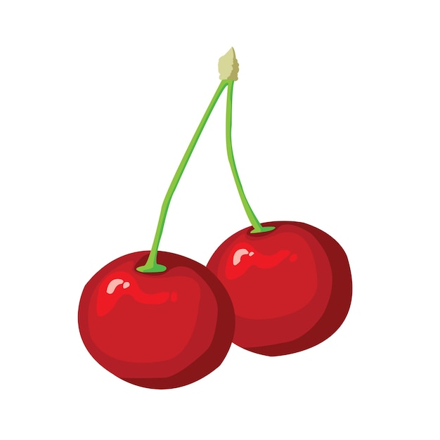 een tekening van drie kersen met een groene stengel